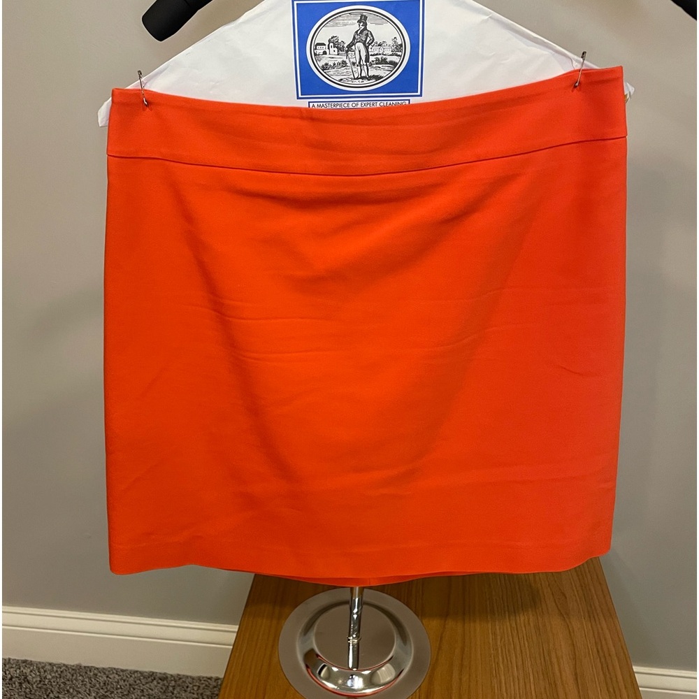Ann Taylor Skirt